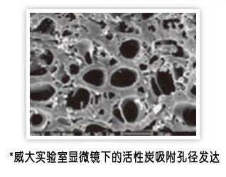 显微镜下的活性炭吸附孔径－威大活性炭生产厂家实验室拍摄